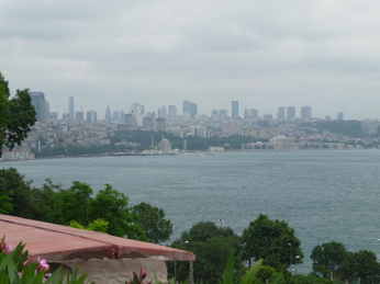 P1040344.JPG 3456x2592 index 100